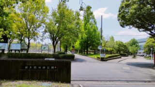 【京都市伏見区おすすめ公園】横大路運動公園で公園ワークをしてみました 